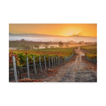 John Gavrilis 'Vineyard Sunrise' Canvas Art,12x19